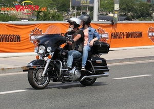 Harley Davidson