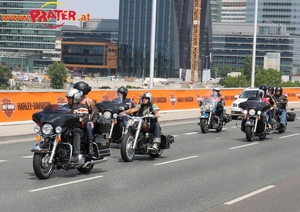 Harley Davidson