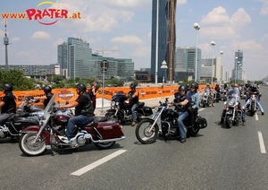 Harley Davidson