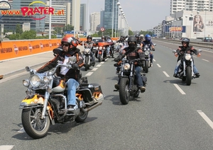 Harley Davidson