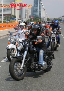 Harley Davidson