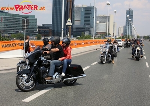Harley Davidson