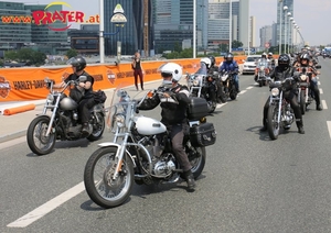 Harley Davidson