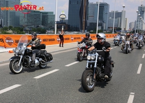 Harley Davidson