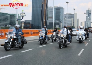 Harley Davidson