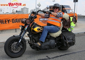 Harley Davidson
