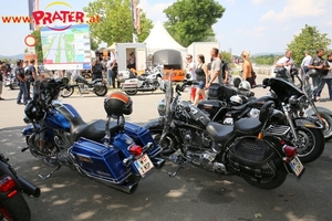 Harley Davidson