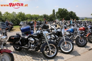 Harley Davidson