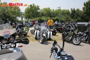 Harley Davidson