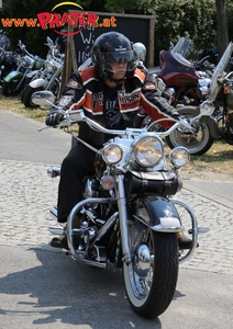 Harley Davidson
