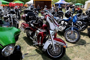 Harley Davidson