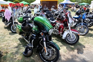 Harley Davidson