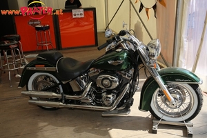 Harley Davidson