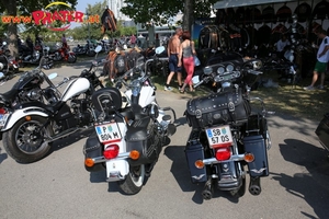 Harley Davidson