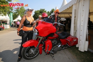 Harley Davidson