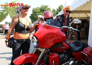 Harley Davidson