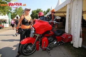 Harley Davidson
