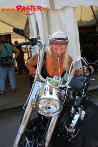 Harley Davidson