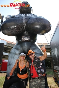 Harley Davidson