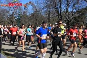 Vienna City Marathon