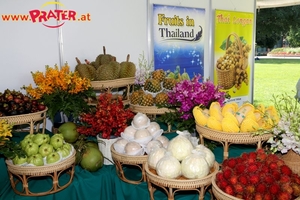 Thai Festival 2013