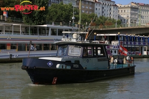 Regatta am Donaukanal