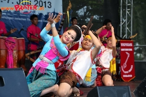 Thai Festival 2013