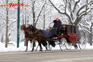 Winter Impressionen