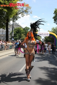 Regenbogenparade 2013