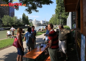 Regatta am Donaukanal