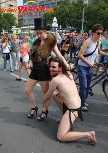 Regenbogenparade 2013