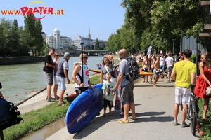 Regatta am Donaukanal