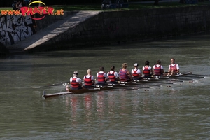 Regatta am Donaukanal