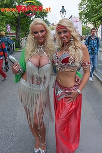 Life Ball 2013