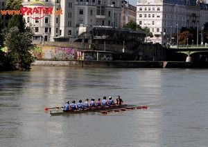 Regatta am Donaukanal