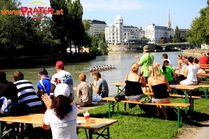 Regatta am Donaukanal