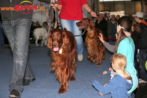 Haustiermesse