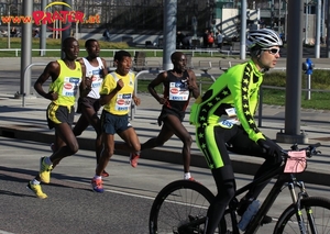 Vienna City Marathon