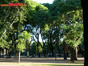 Buenos Aires