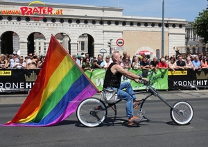 Regenbogenparade 2013