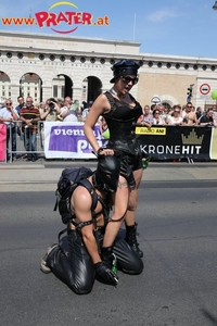 Regenbogenparade 2013