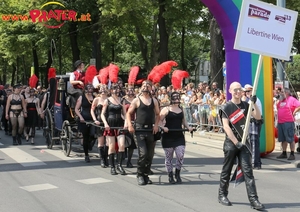 Regenbogenparade 2013