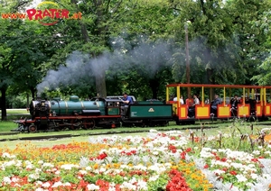 Liliputbahn ist 85 Jahre