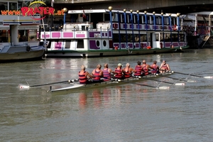 Regatta am Donaukanal