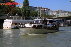 Regatta am Donaukanal