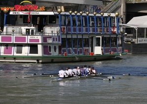 Regatta am Donaukanal