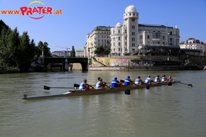 Regatta am Donaukanal