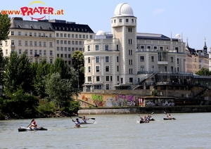 Regatta am Donaukanal