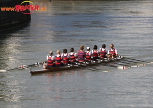 Regatta am Donaukanal