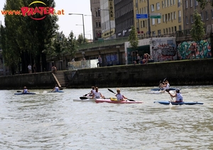 Regatta am Donaukanal